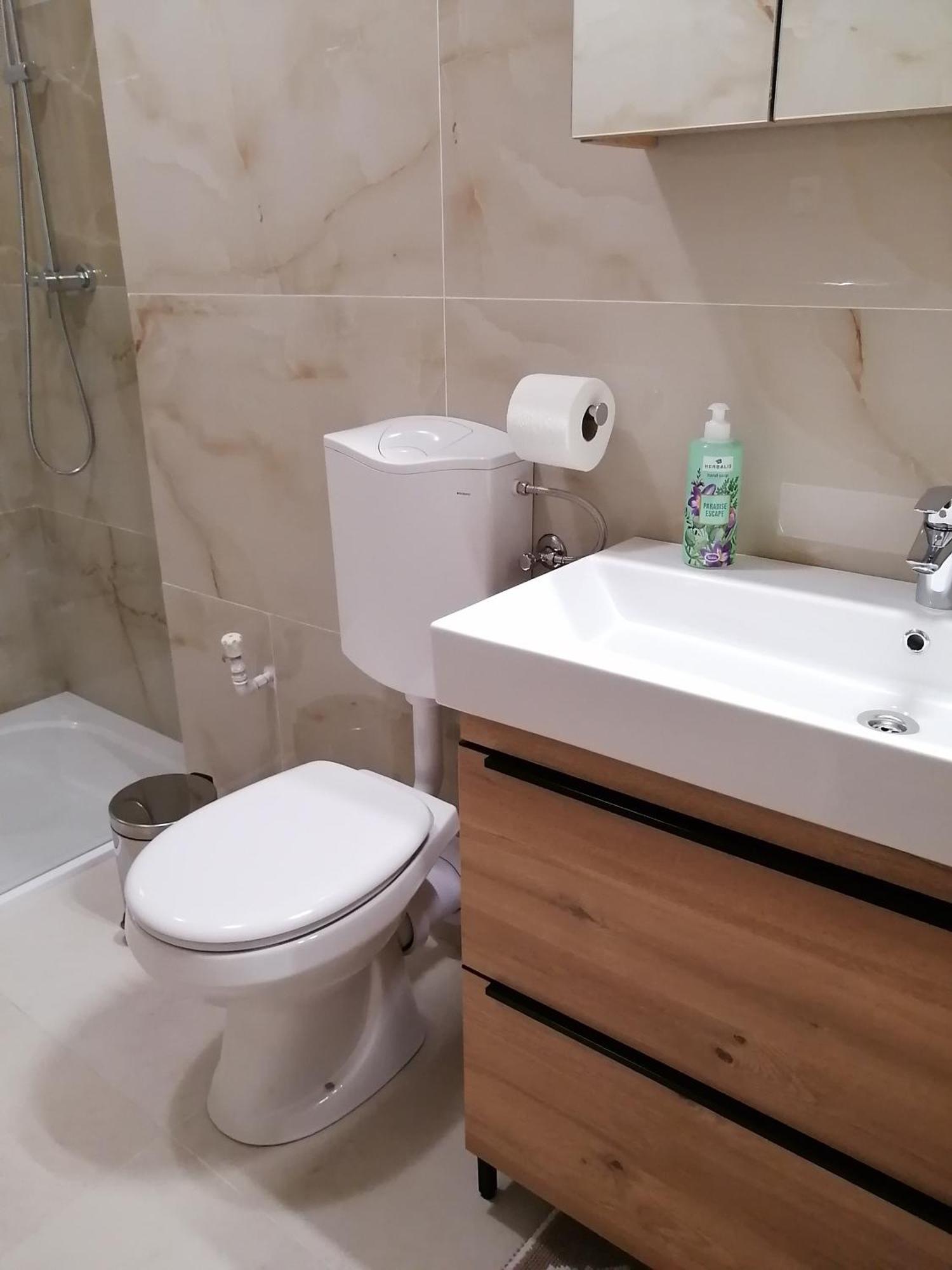 Apartment Goreta